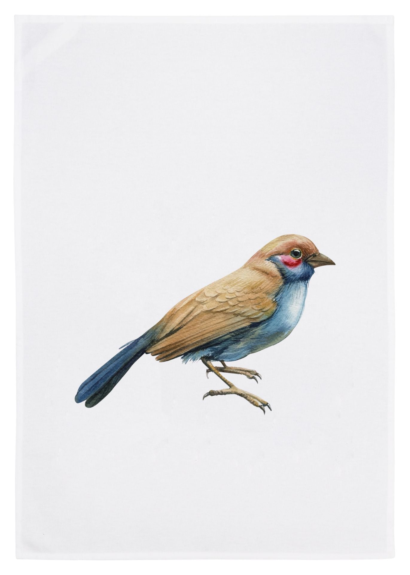 Geschirrtuch Blaukehlchen