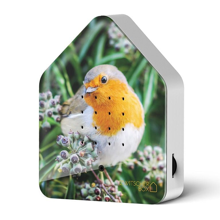 Zwitscher Box Robin Redbreast
