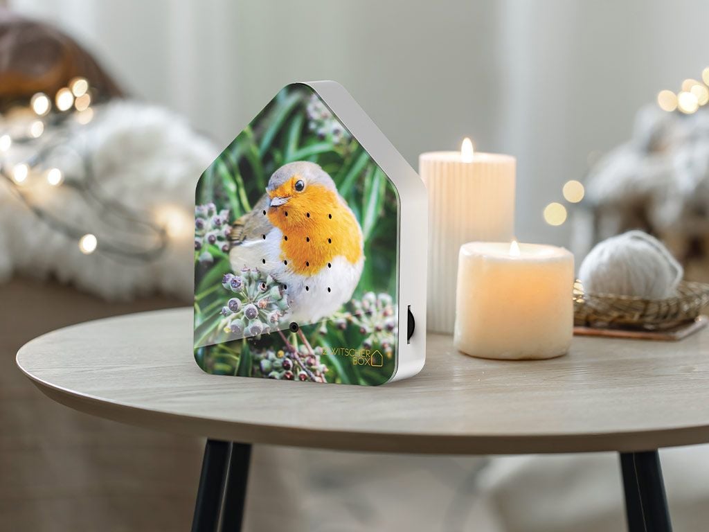 Zwitscher Box Robin Redbreast