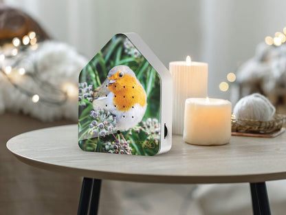 Zwitscher Box Robin Redbreast
