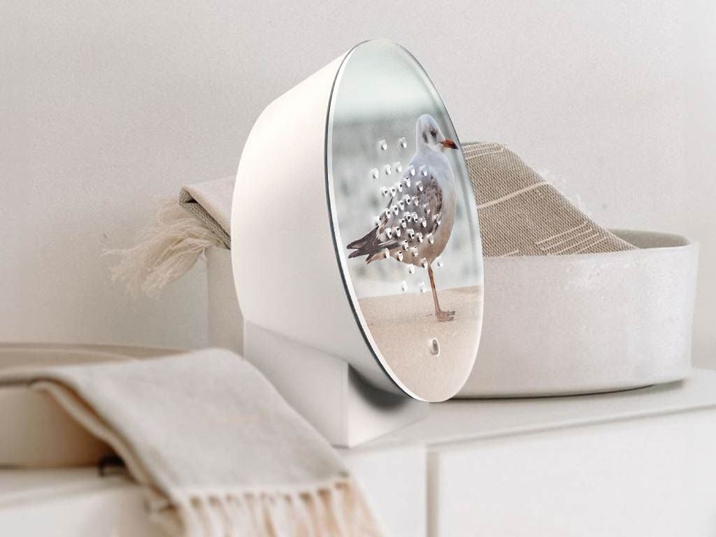 Oceanbox Baltic Seagull