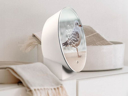 Oceanbox Baltic Seagull
