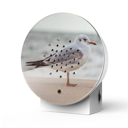 Oceanbox Baltic Seagull