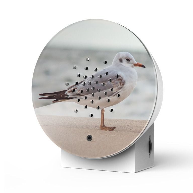 Oceanbox Baltic Seagull
