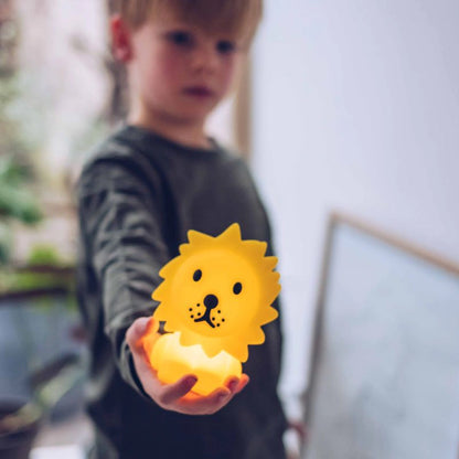 Bundle of Light, Lion