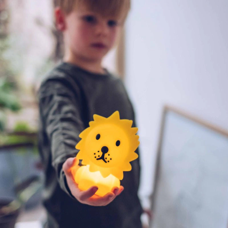 Bundle of Light, Lion