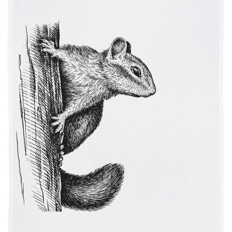 Geschirrtuch Eichhörnchen