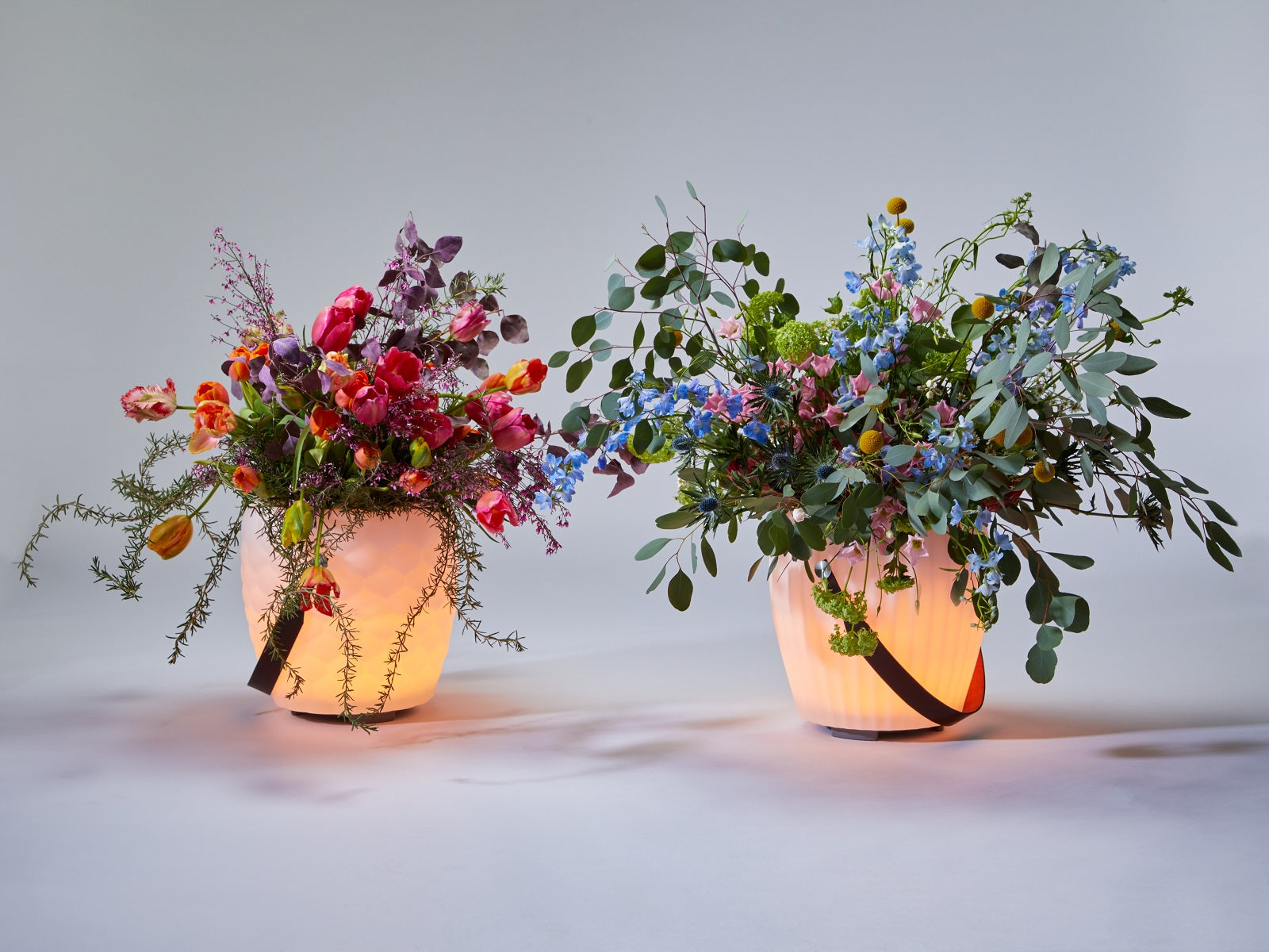 The JOOULY Bowl L