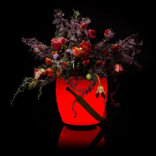 The JOOULY Bowl LTD L – Bild 4